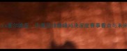 江苏队vs塞尔维亚中塞足球巅峰对决深度赛事看点与未来展望