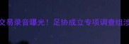 体育界劲爆韩国足坛性交易录音曝光足协成立专项调查组涉案俱乐部或面临降级处罚