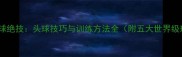 职业球员头球绝技头球技巧与训练方法全附五大世界级球星案例