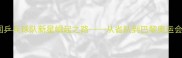 汪佳楠中国乒乓球队新星崛起之路从省队到巴黎奥运会的逆袭传奇