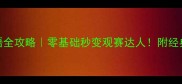 足球比赛术语全攻略零基础秒变观赛达人附经典赛事推荐清单