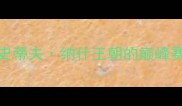 2005年菲尼克斯太阳队史蒂夫纳什王朝的巅峰赛季与西部决赛经典对决全