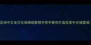 实况足球中文全汉化保姆级教程手把手教你打造完美中文绿茵场