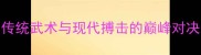 雷公太极赛后专访传统武术与现代搏击的巅峰对决实战技巧大公开