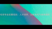 国内羽毛球专业发展现状人才培养训练体系与未来趋势深度