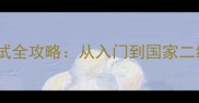 乒乓球大众段位考试全攻略从入门到国家二级认证的实战指南
