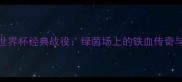 伊朗男足世界杯经典战役绿茵场上的铁血传奇与未竟梦想