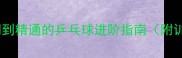 掌握核心技巧从入门到精通的乒乓球进阶指南附训练计划与装备推荐