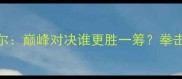 康纳麦格雷戈VS霍洛韦尔巅峰对决谁更胜一筹拳击迷必看的终极对比分析