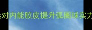 乒乓球胶皮全如何选对内能胶皮提升弧圈球实力新手必看选购指南