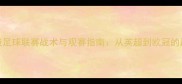 全球顶级足球联赛战术与观赛指南从英超到欧冠的巅峰对决