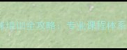 什刹海体校乒乓球培训全攻略专业课程体系与学员成长路径