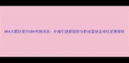 NBA火箭队签约CBA内线球员外援引进新趋势与职业篮球全球化发展探析