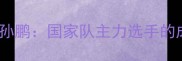 北京羽毛球名将孙鹏国家队主力选手的成长历程与技术
