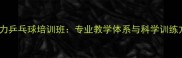 北京合力乒乓球培训班专业教学体系与科学训练方法全