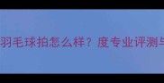红双喜101羽毛球拍怎么样度专业评测与选购指南