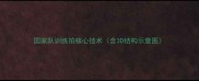 国家队训练拍核心技术含3D结构示意图
