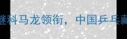 国乒男团巴黎夺冠张继科马龙领衔中国乒乓藏獒张本智和的逆袭之路