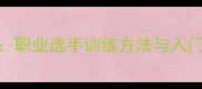 乒乓球弧圈球技术全职业选手训练方法与入门技巧国乒核心打法