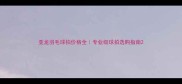 亚龙羽毛球拍价格全专业级球拍选购指南