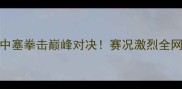 拳王中国VS塞尔维亚中塞拳击巅峰对决赛况激烈全网直击冠军归属引热议