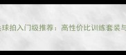 蝴蝶牌乒乓球拍入门级推荐高性价比训练套装与选购指南