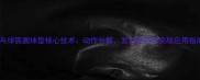 乒乓球弧圈球型核心技术动作分解发力技巧与实战应用指南