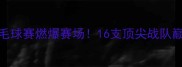 冠军联盟杭州全明星羽毛球赛燃爆赛场16支顶尖战队巅峰对决速看购票攻略