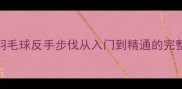 反手击球实战教学羽毛球反手步伐从入门到精通的完整指南附训练方案