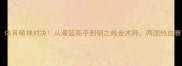 德国vs日本动画体育精神对决从灌篮高手到钢之炼金术师两国热血赛事的隐藏联系