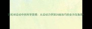 羽毛球运动中的科学原理从运动力学到训练技巧的全方位指南