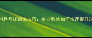 广州乒乓球训练技巧专业教练如何快速提升球技