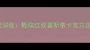 乒乓球专业胶皮729套胶深度蝴蝶红双喜斯帝卡官方正品性能对比与选购指南