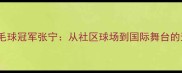 广州女羽毛球冠军张宁从社区球场到国际舞台的逆袭之路