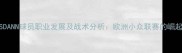 赛季SDANN球员职业发展及战术分析欧洲小众联赛的崛起之星