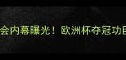 巴塞尔24号球员转会内幕曝光欧洲杯夺冠功臣为何选择中超