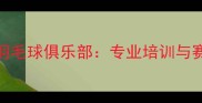 太原恒大羽毛球俱乐部专业培训与赛事活动全