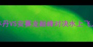 羽毛球世锦赛决赛林丹VS安赛龙巅峰对决水上飞人封王背后的经典战役