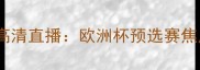 标准列日vs帕纳辛纳高清直播欧洲杯预选赛焦点战深度与赛事前瞻