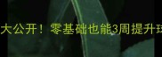 羽毛球步伐技巧大公开零基础也能3周提升球技的关键步骤