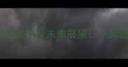 CBA球员登陆NBA的五大成功案例及未来展望中国篮球国际化进程的里程碑