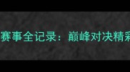全运会羽毛球赛事全记录巅峰对决精彩瞬间与技术