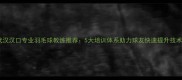 武汉汉口专业羽毛球教练推荐5大培训体系助力球友快速提升技术