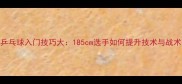 乒乓球入门技巧大185cm选手如何提升技术与战术
