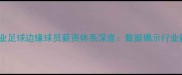 中国职业足球边缘球员薪资体系深度数据揭示行业新生态