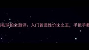 元和RSL羽毛球拍全测评入门首选性价比之王手把手教你选对装备