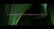 荷兰新星科克库崛起技术特点与国家队表现评估全追踪