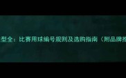 排球类型全比赛用球编号规则及选购指南附品牌推荐