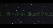 冰球盛宴哥本哈根VS里加赛季焦点战全