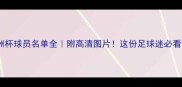 世界杯欧洲杯球员名单全附高清图片这份足球迷必看清单请收好